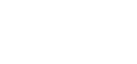 Blue Lion logo