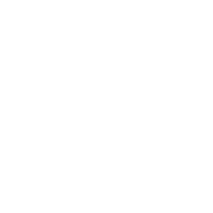Fleet module with vehicle models and service charges