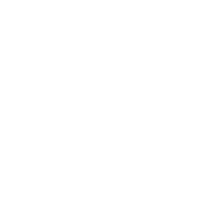 Dispatcher module with dispatch tracking and trip management