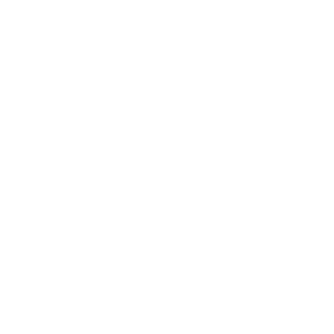Trip records, trip backup and transaction reporting